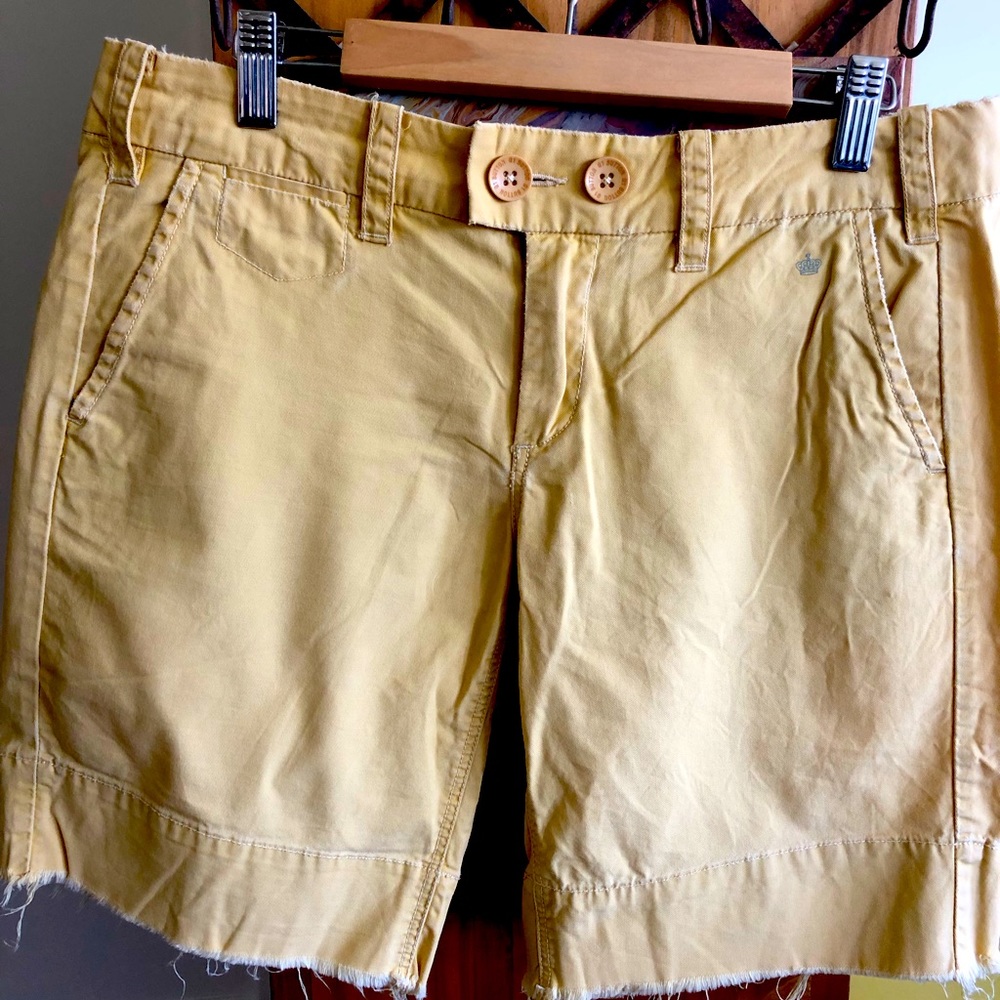 Anthropologie Shorts - G1 Basic Goods